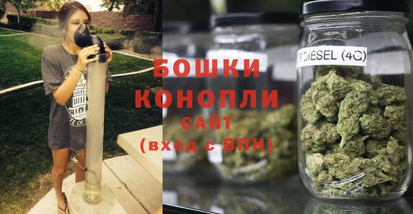 молекула духа Белоозёрский